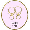 PENDIENTES ZODIACO TAURO Plata de Ley 925 y bañados en Oro de 18k (12MM)