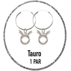 la colección del zodiaco tienen un diámetro de 12mm Puedes comprar 1 par de pendientes de aro con el charm del signo zodiaco Tauro de plata